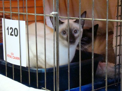 20121021_44 (Expo)